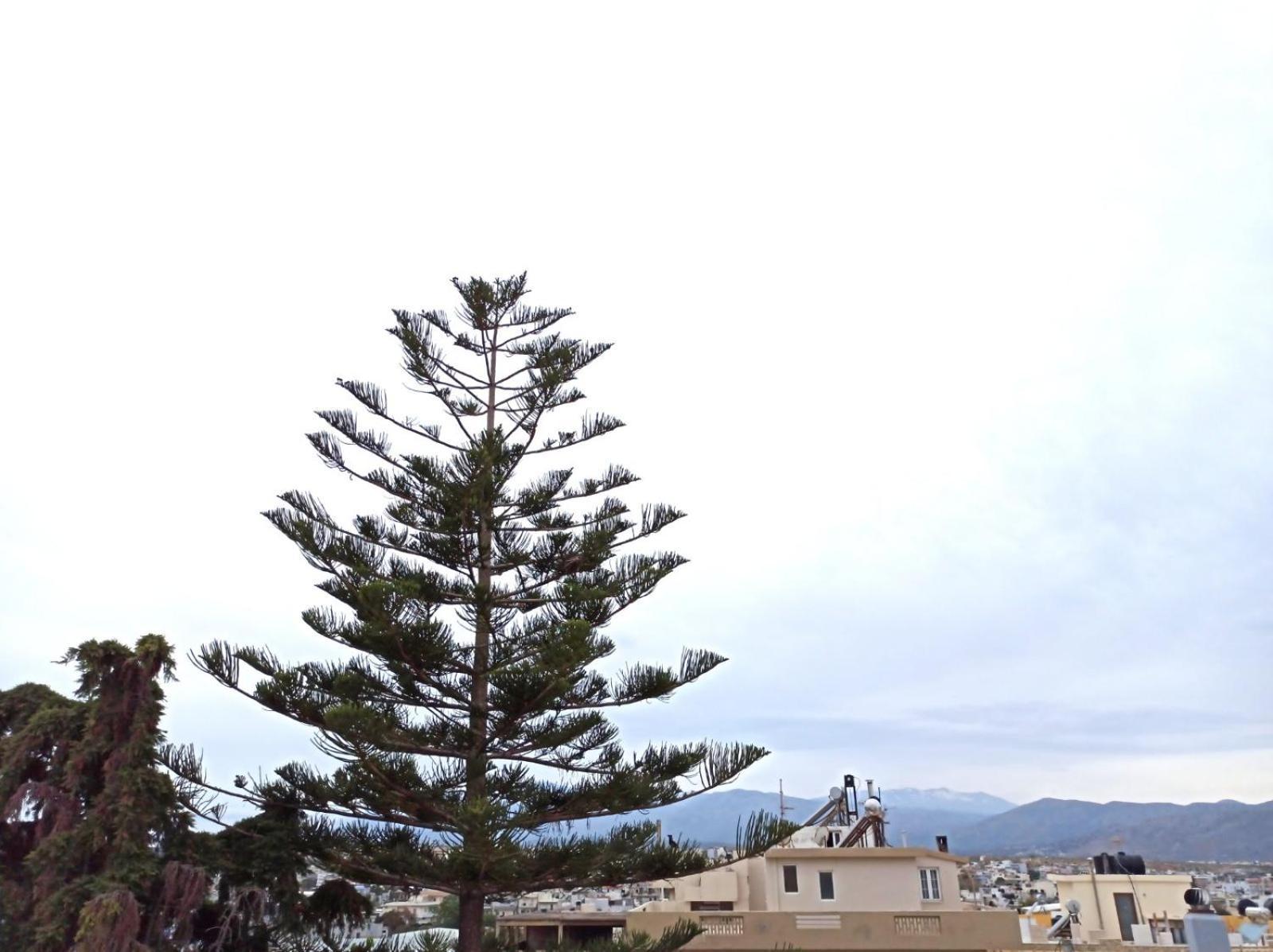 Apartament Renovated Loft Near The Center Heraklion Zewnętrze zdjęcie